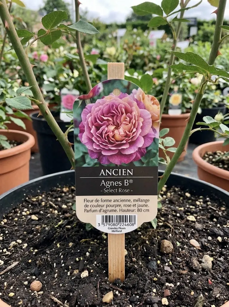 Etiqueta para jardinería y plantas fabricada por BIOLID (2)