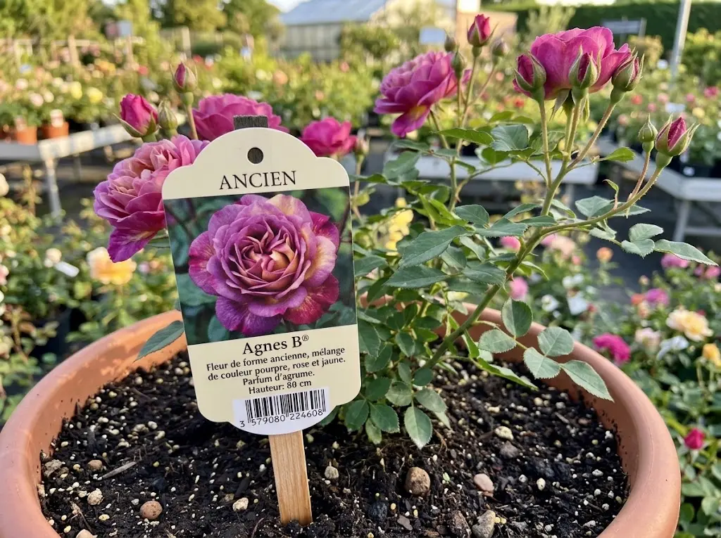 Etiqueta para jardinería y plantas fabricada por BIOLID (3)