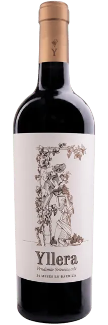 Vino